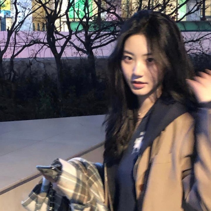 出谷黄莺