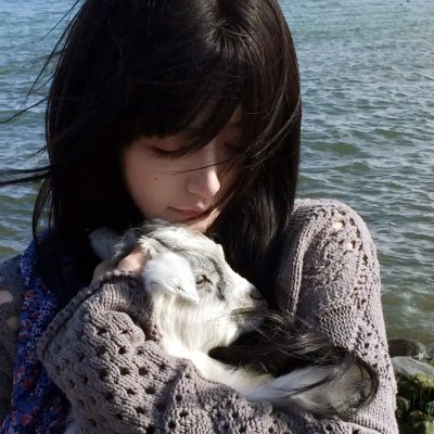 玩具掌门人